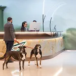 Abba 4* 우에스카
