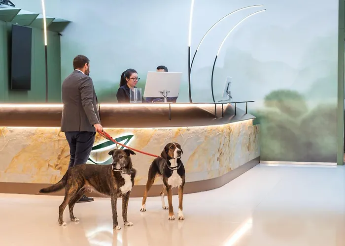 Abba 4* הואסקה